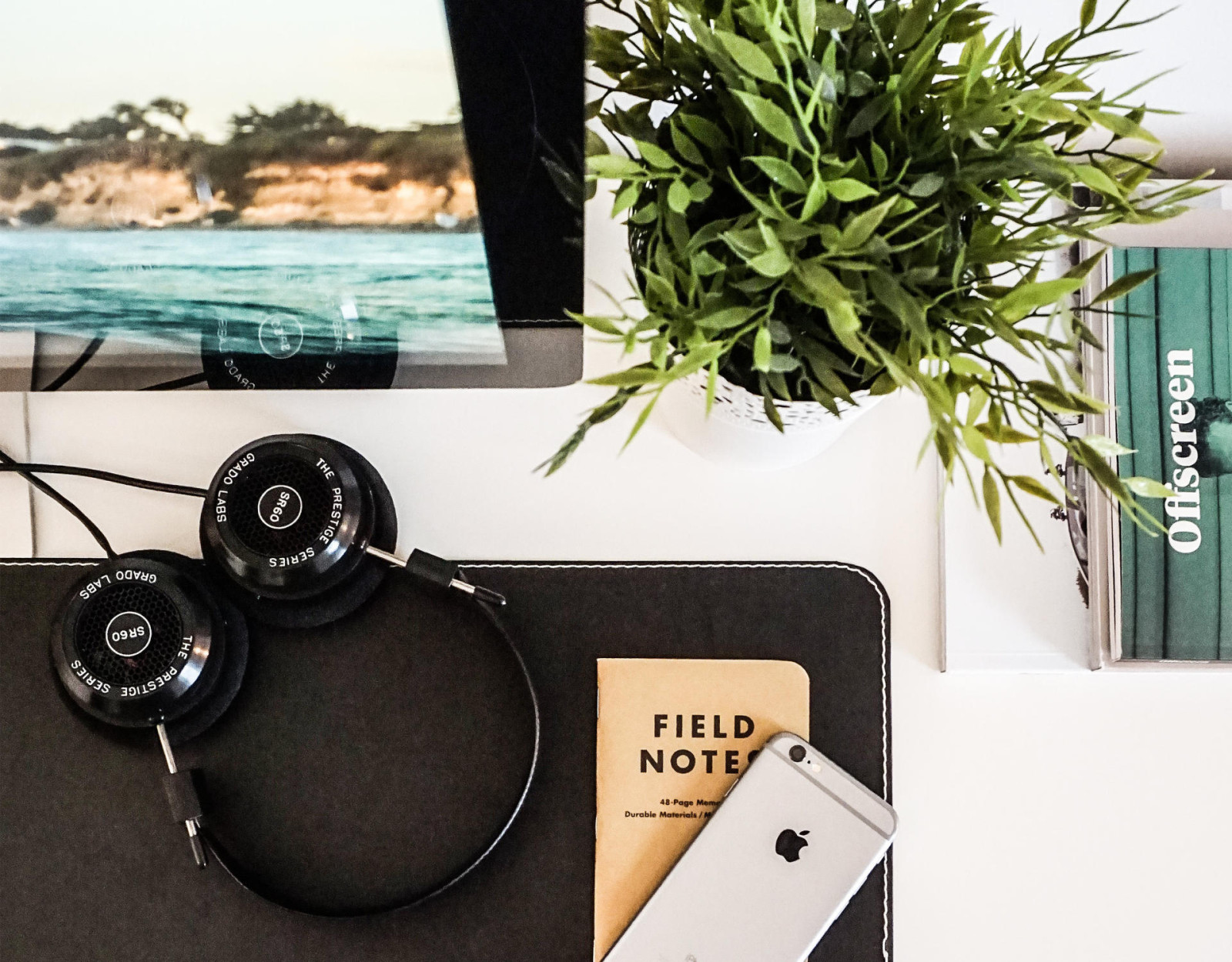 Photo of a Potted Plant and Headphones. Audio can help you learn languages faster.