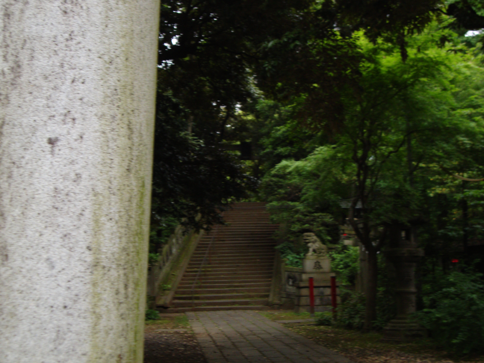 Photo of the stairs at the Hikawa Jinja shrine.