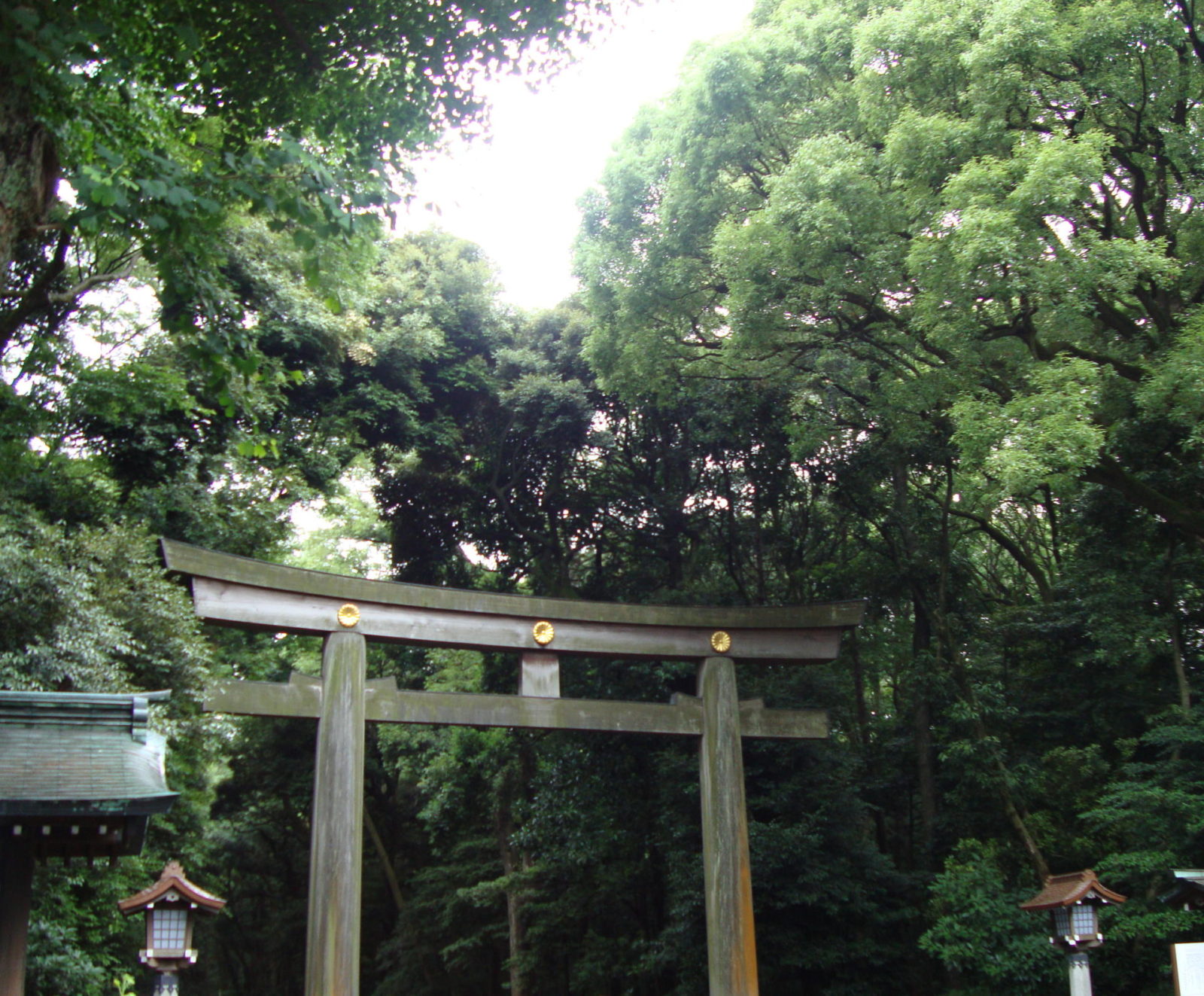 Giant wooden Torii gate at Meiji Jingu Shrine