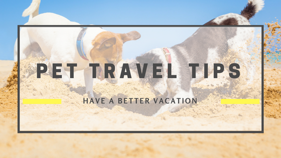 Pet travel tips: how to vacation with your pet