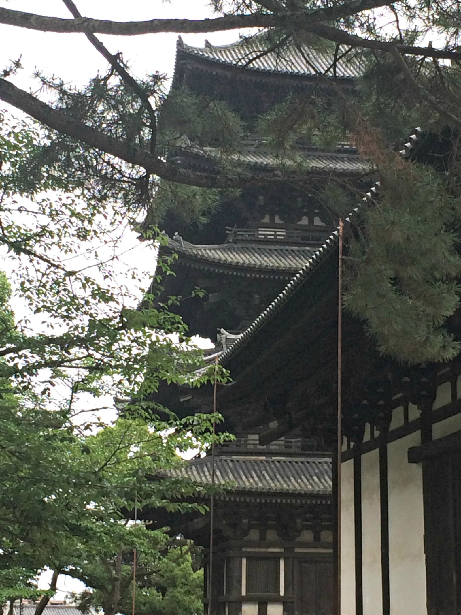 Kofukuji Temple: the pagoda at Kofukuji Temple in Nara is the second largest in Japan