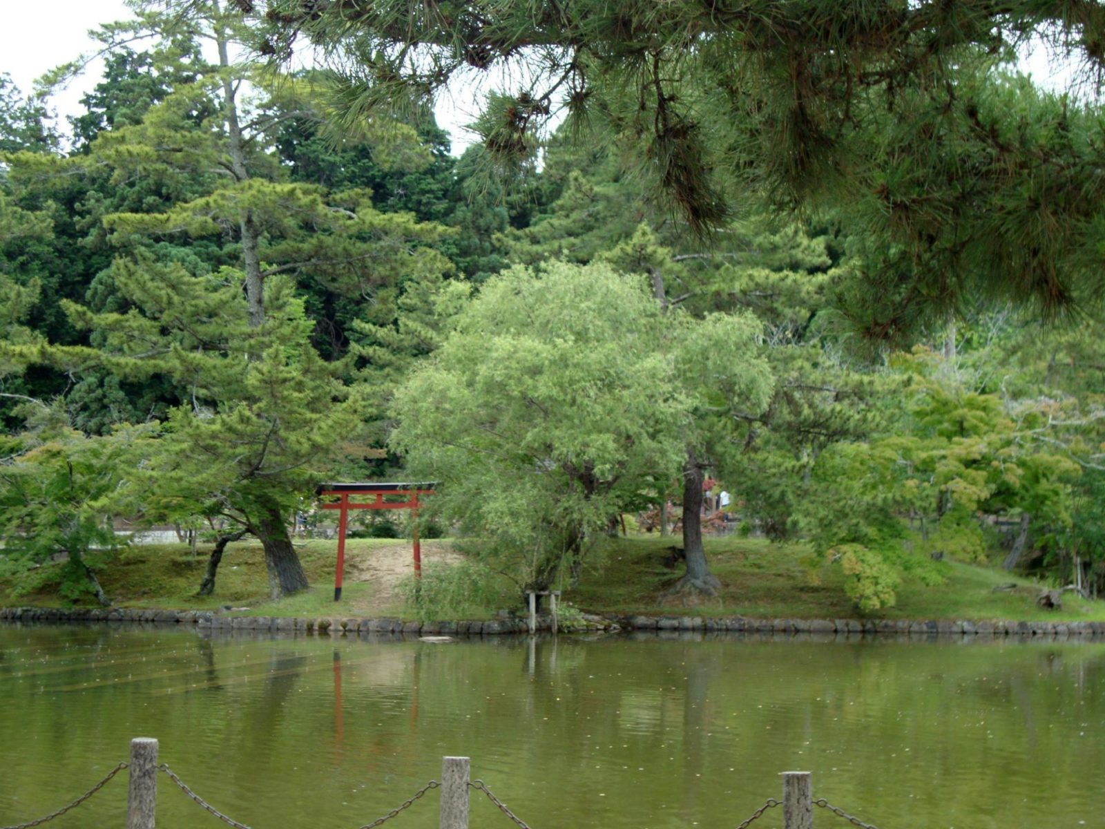 Lake at Todaiji at Nara Park in Japan: the gardens at Todaiji Temple make for a pleasant walk.