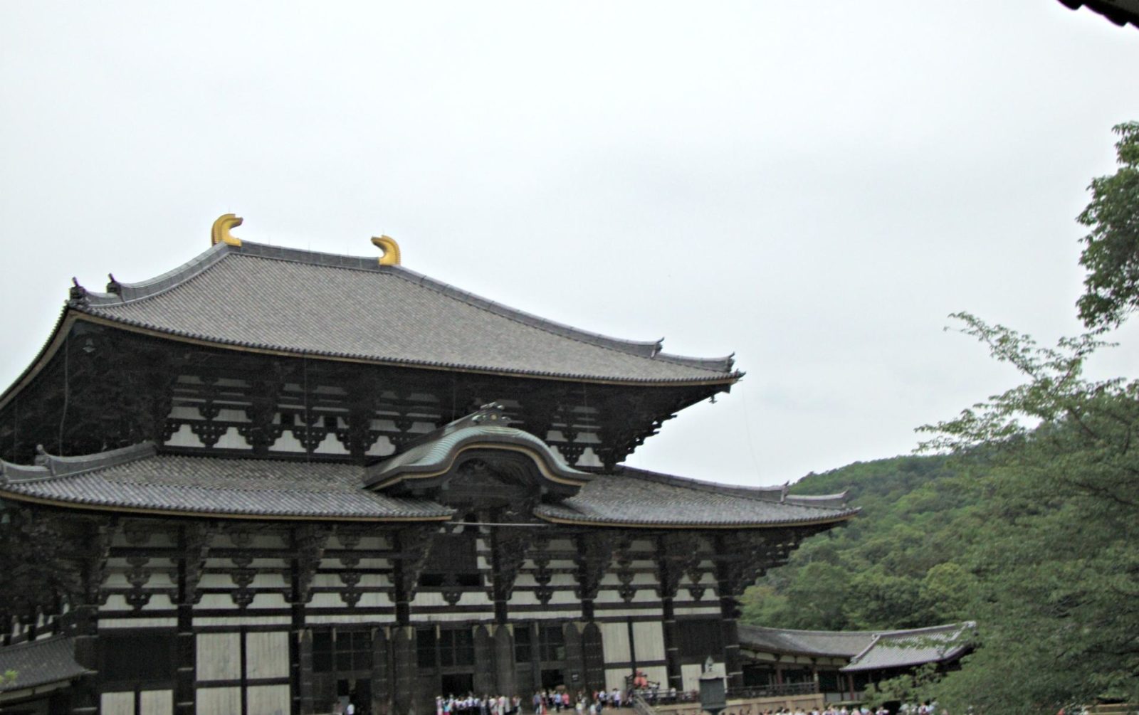 Nara Travel Guide: Todaiji Temple is the largest wooden building in the world