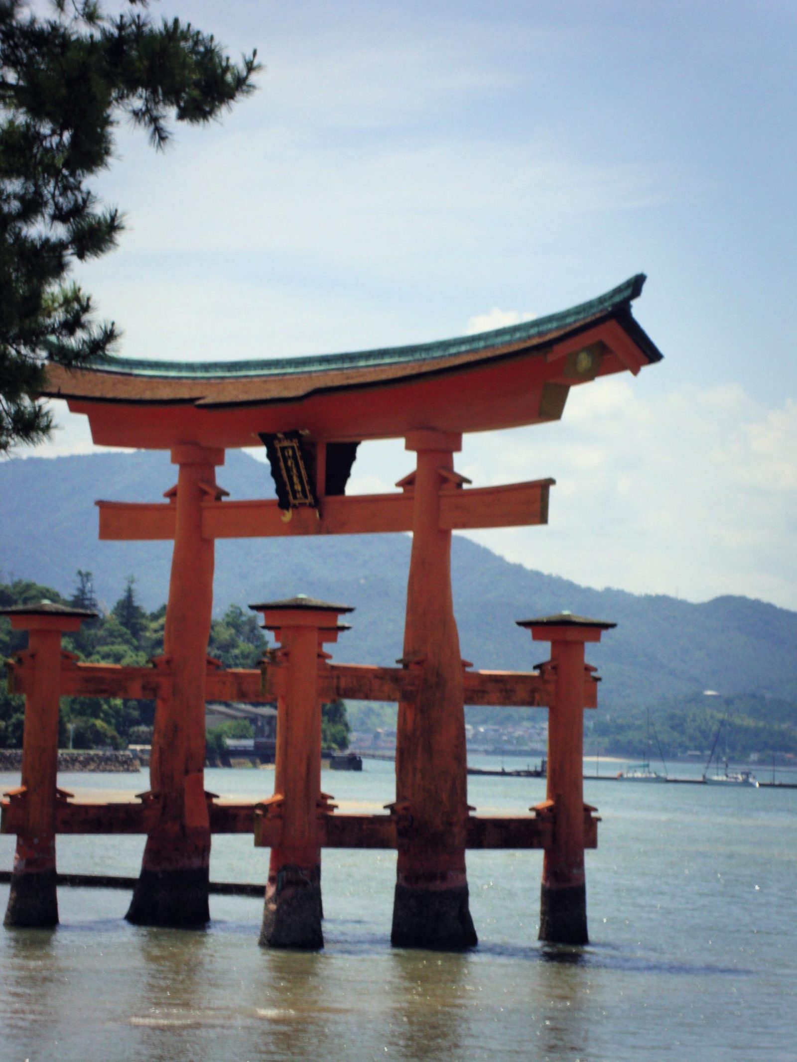 Miyajima island floating torii gate: the floating torii is a must-see for your trip to Japan. Here is a Miyajima travel guide for your adventure.